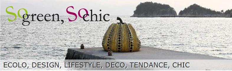 blog design-ecolo